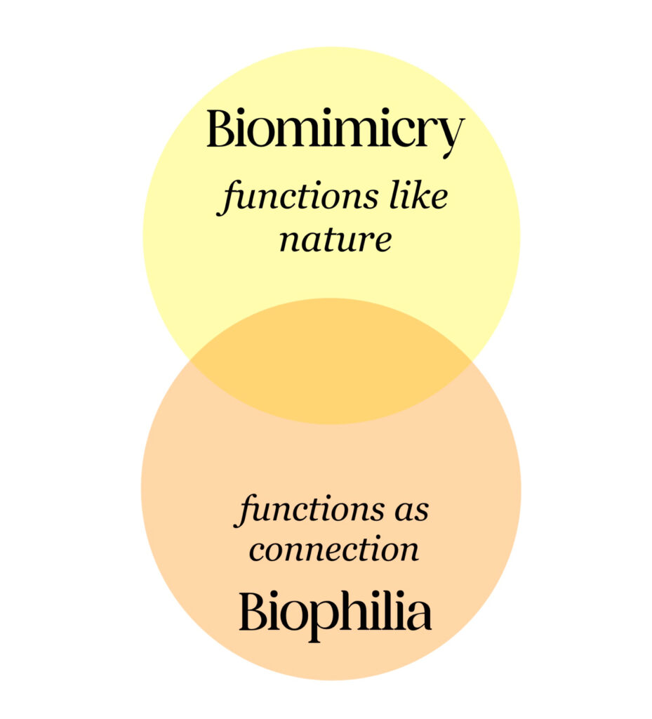 Biomimicry and Biophilia: A Harmonious Design Philosophy